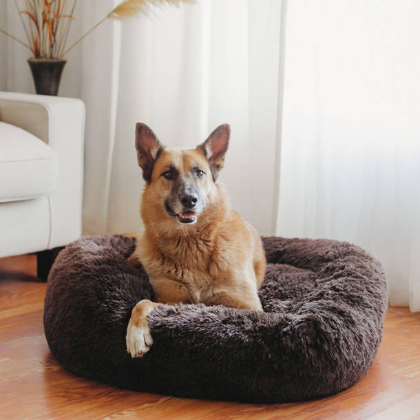 Best Friends by Sheri Bundle The Original Calming Shag Donut Cat and